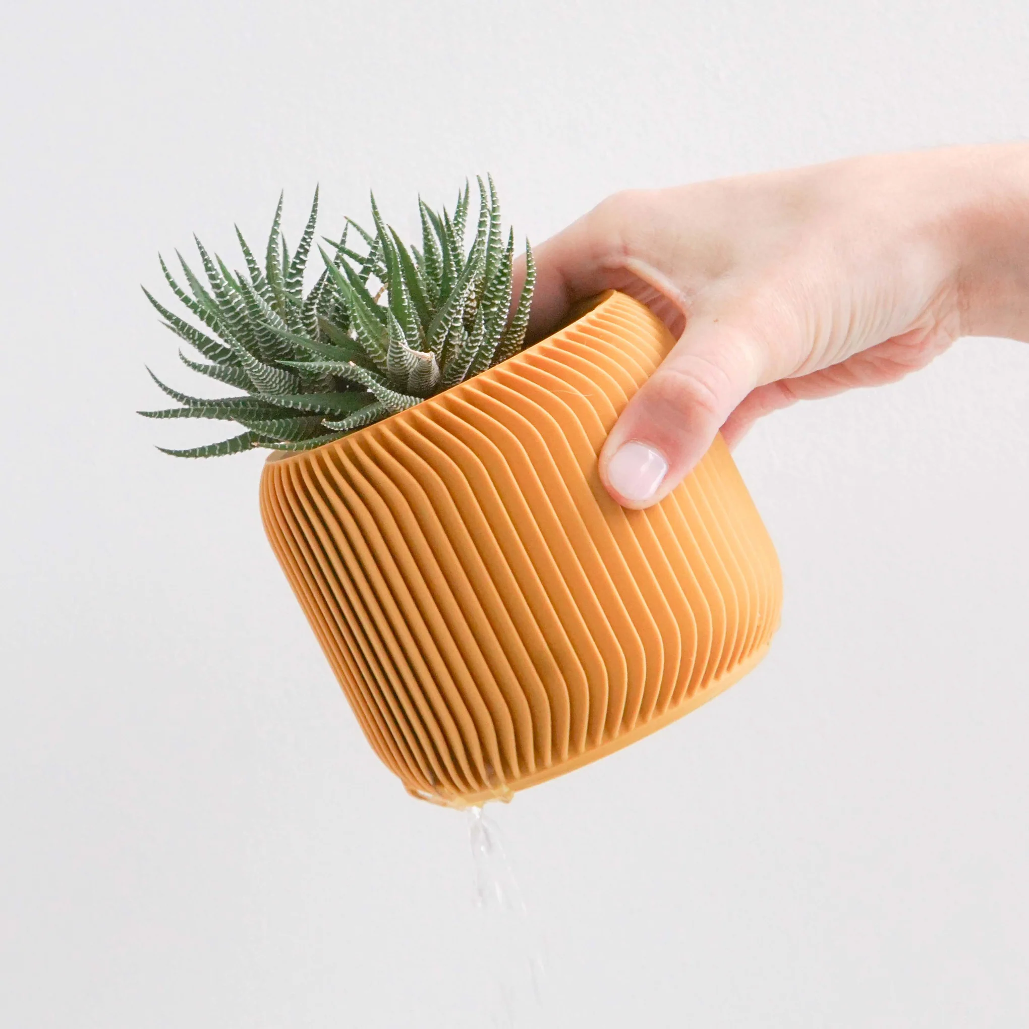 3D-Printed Planter - 3" - Image 5