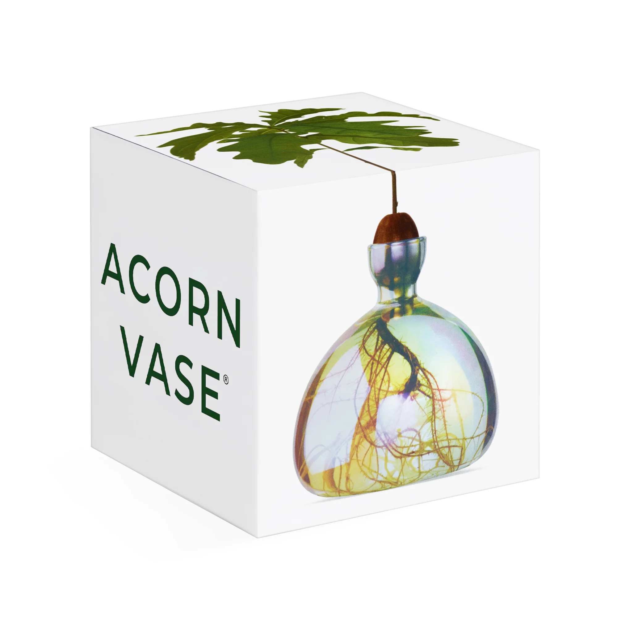 Acorn Vase - iridescent - Image 4