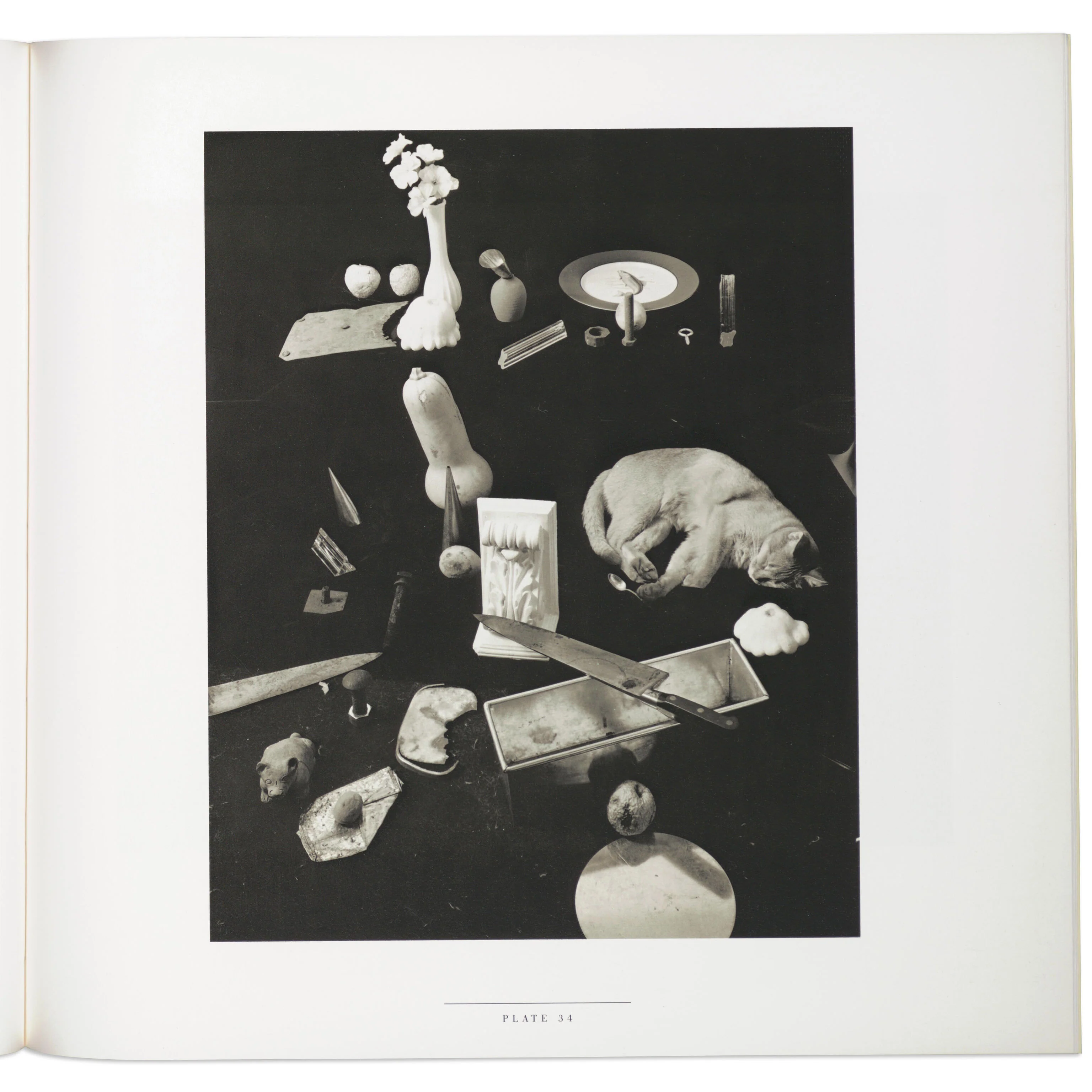 Jan Groover - Paperback - Image 5