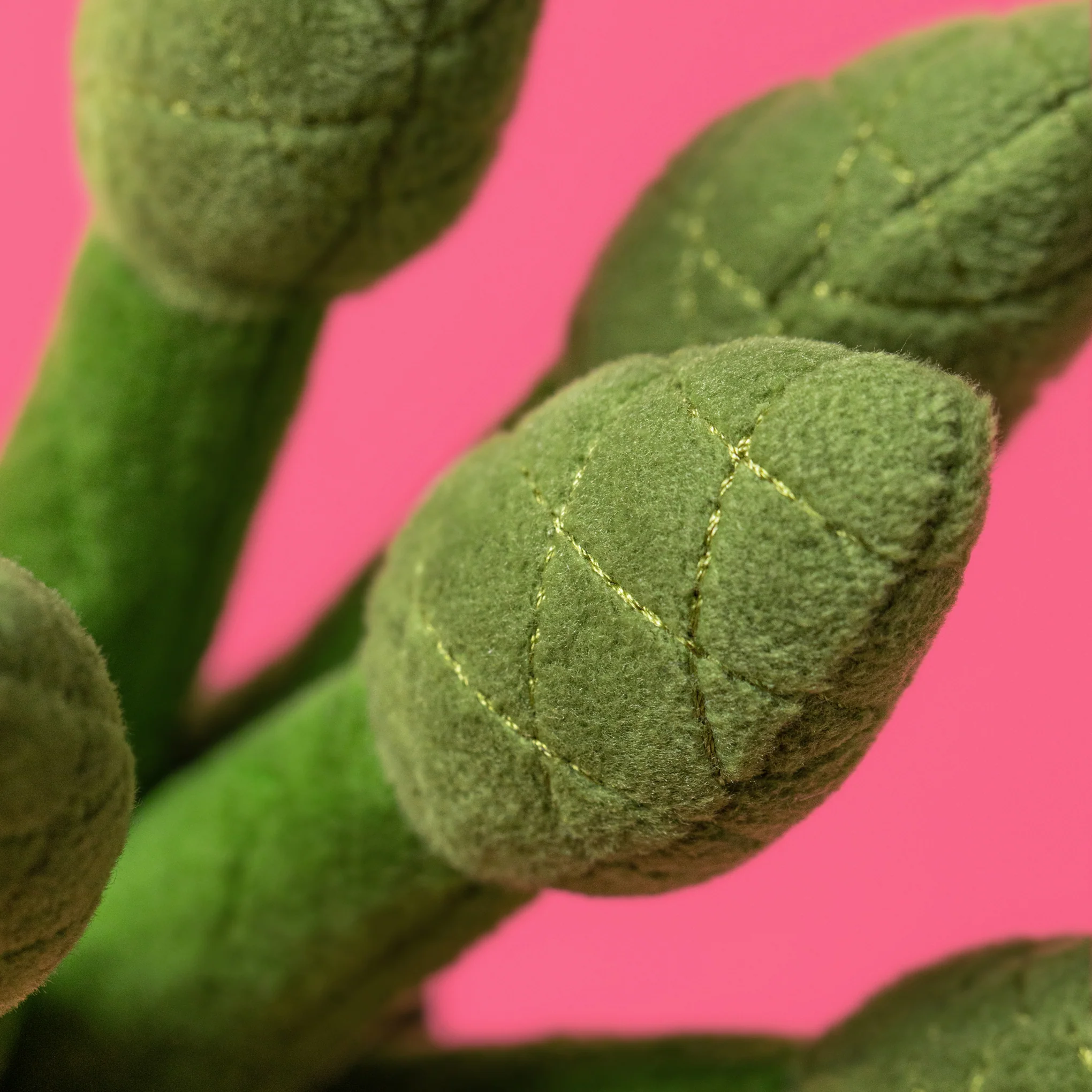 Jellycat Large Veggie Plush Toys - Asparagus - Image 5