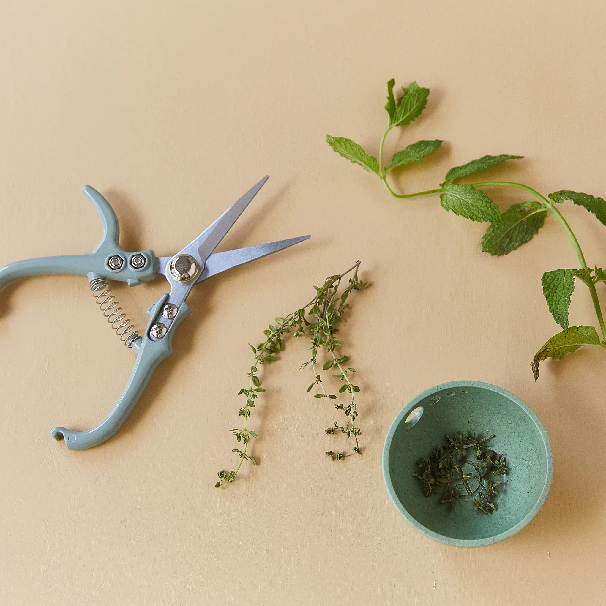 Modern Sprout Pruning Shears - Image 4