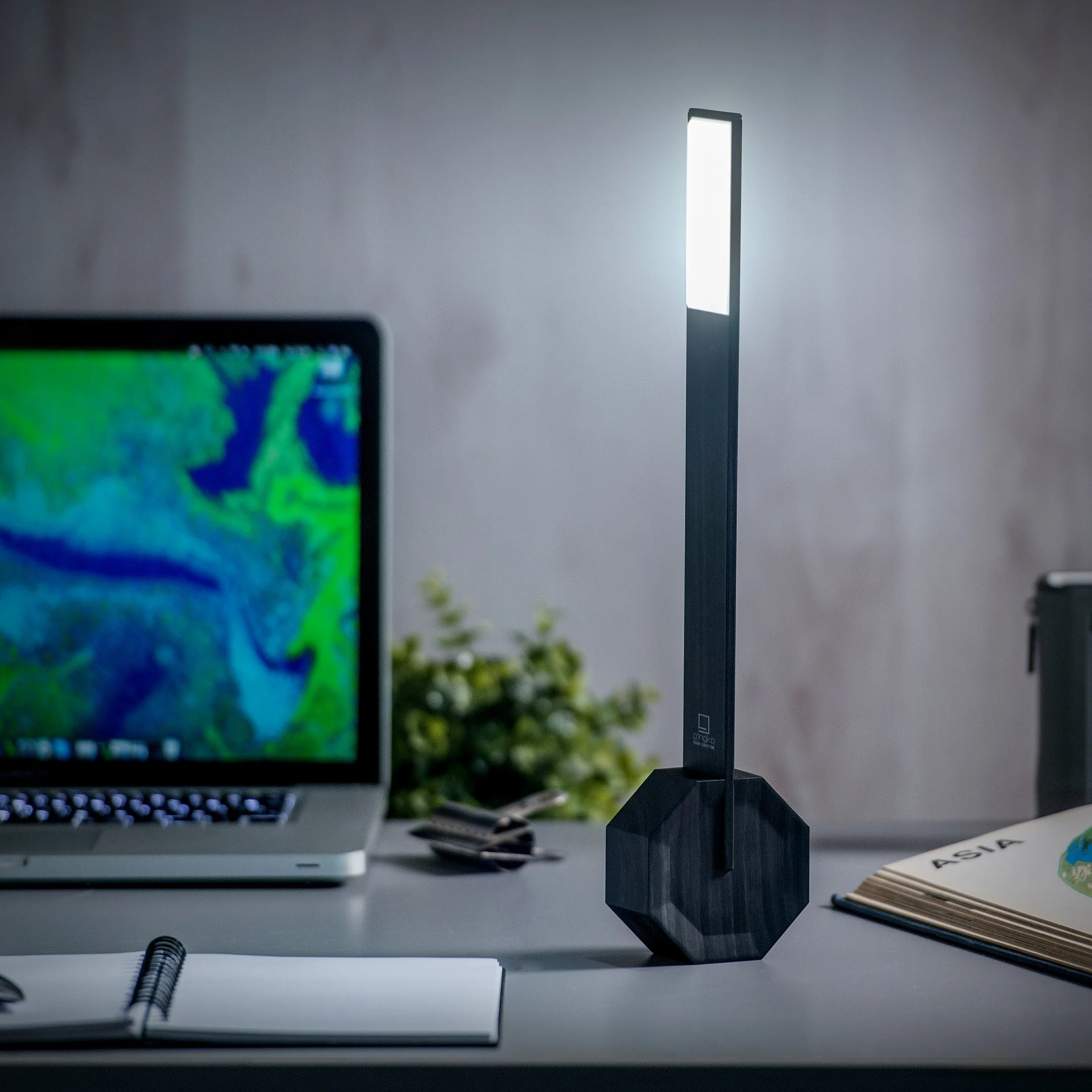 Octagon Portable Desk Light - Walnut - Image 11