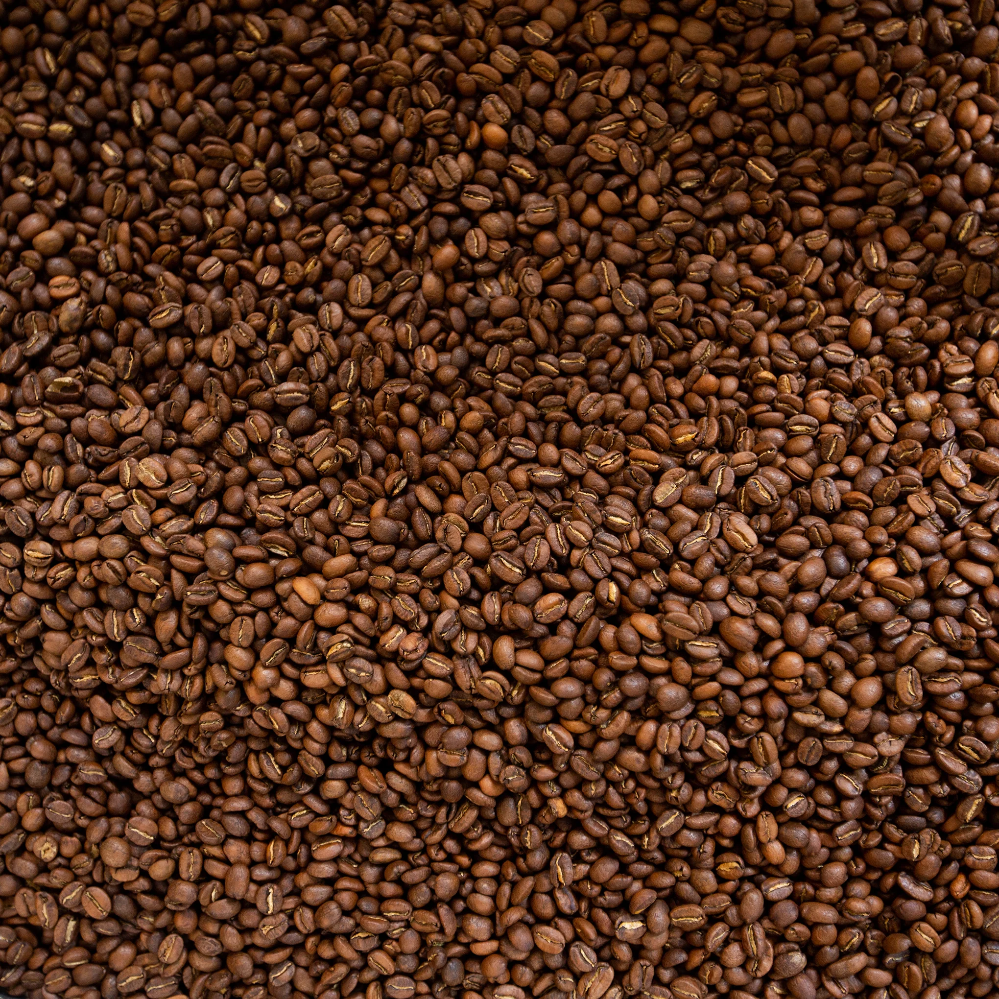 Partners Whole Bean Coffee - Brooklyn - Image 6