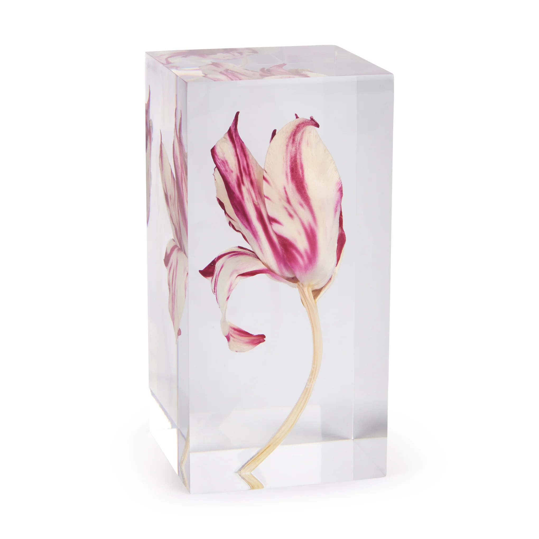 Rare Tulip Objet d’Art