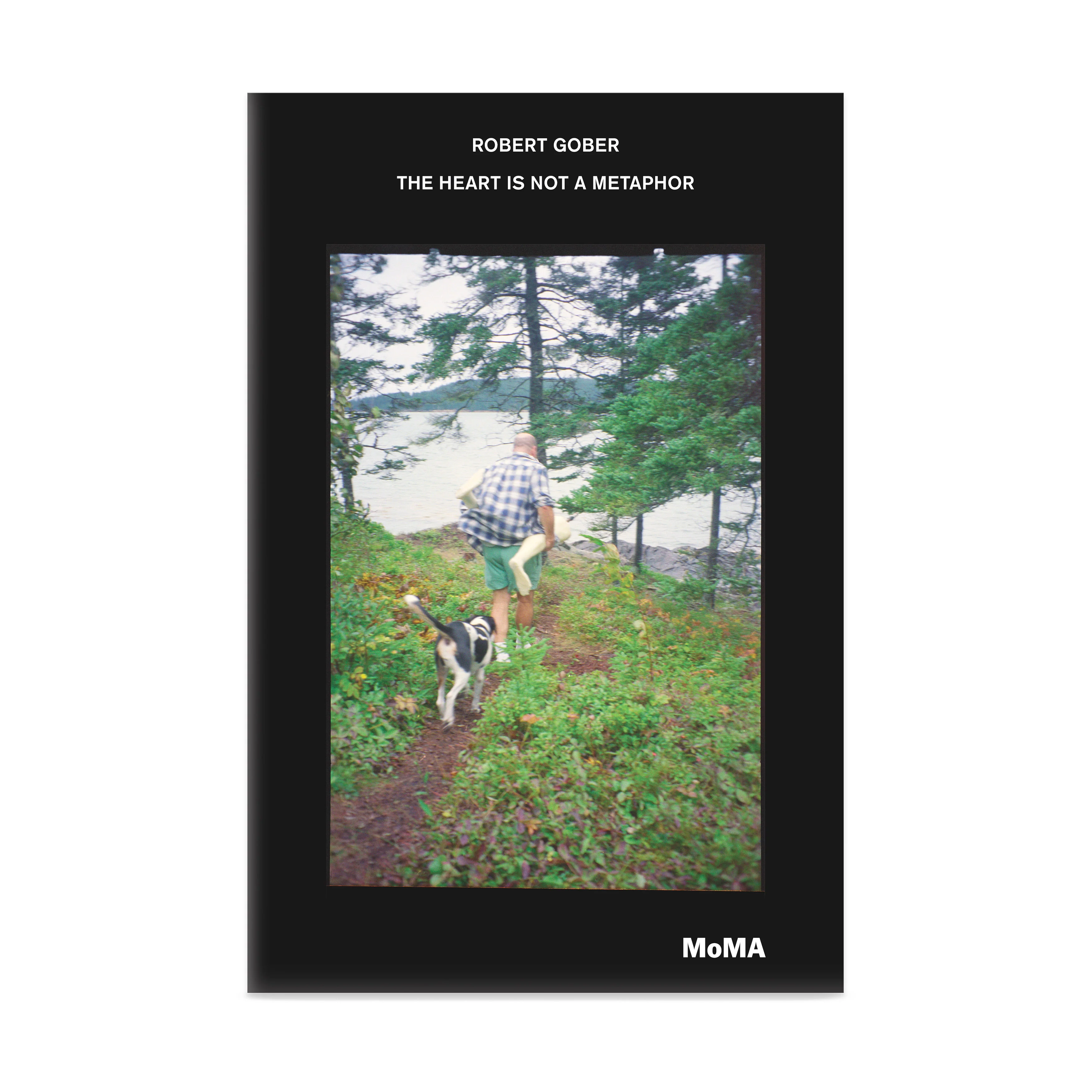 Robert Gober: The Heart Is Not a Metaphor - Hardcover - Image 4