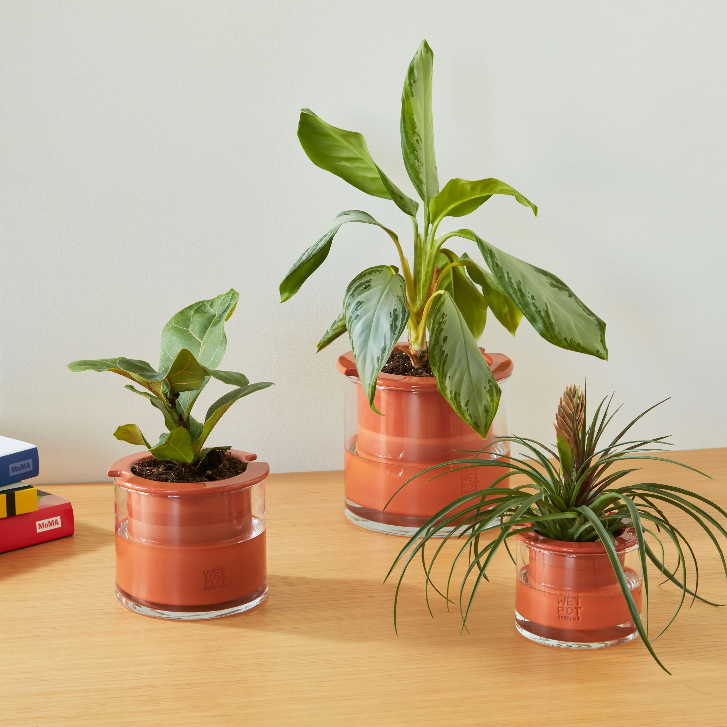 Self-Watering Wet Pots - X-Small - Image 5