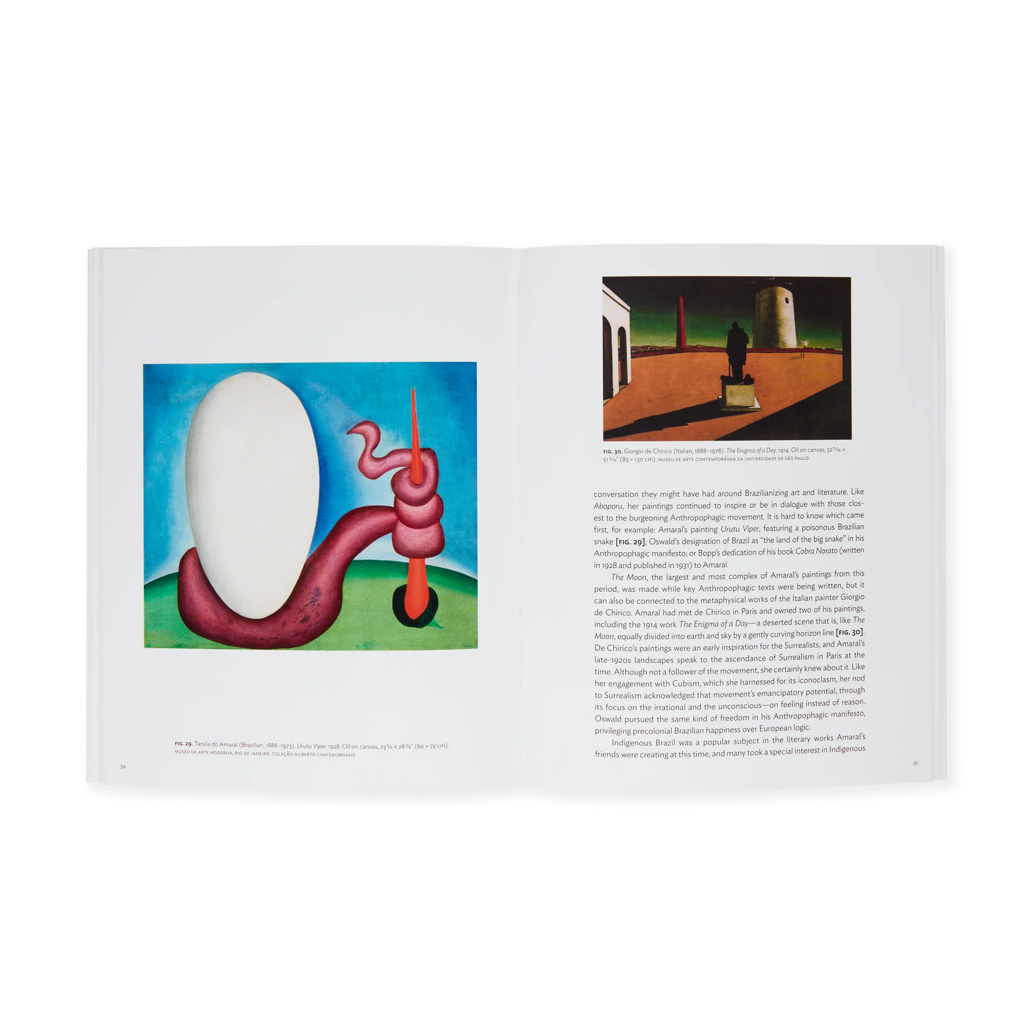 Tarsila do Amaral: The Moon, One on One Series - Paperback - Image 7